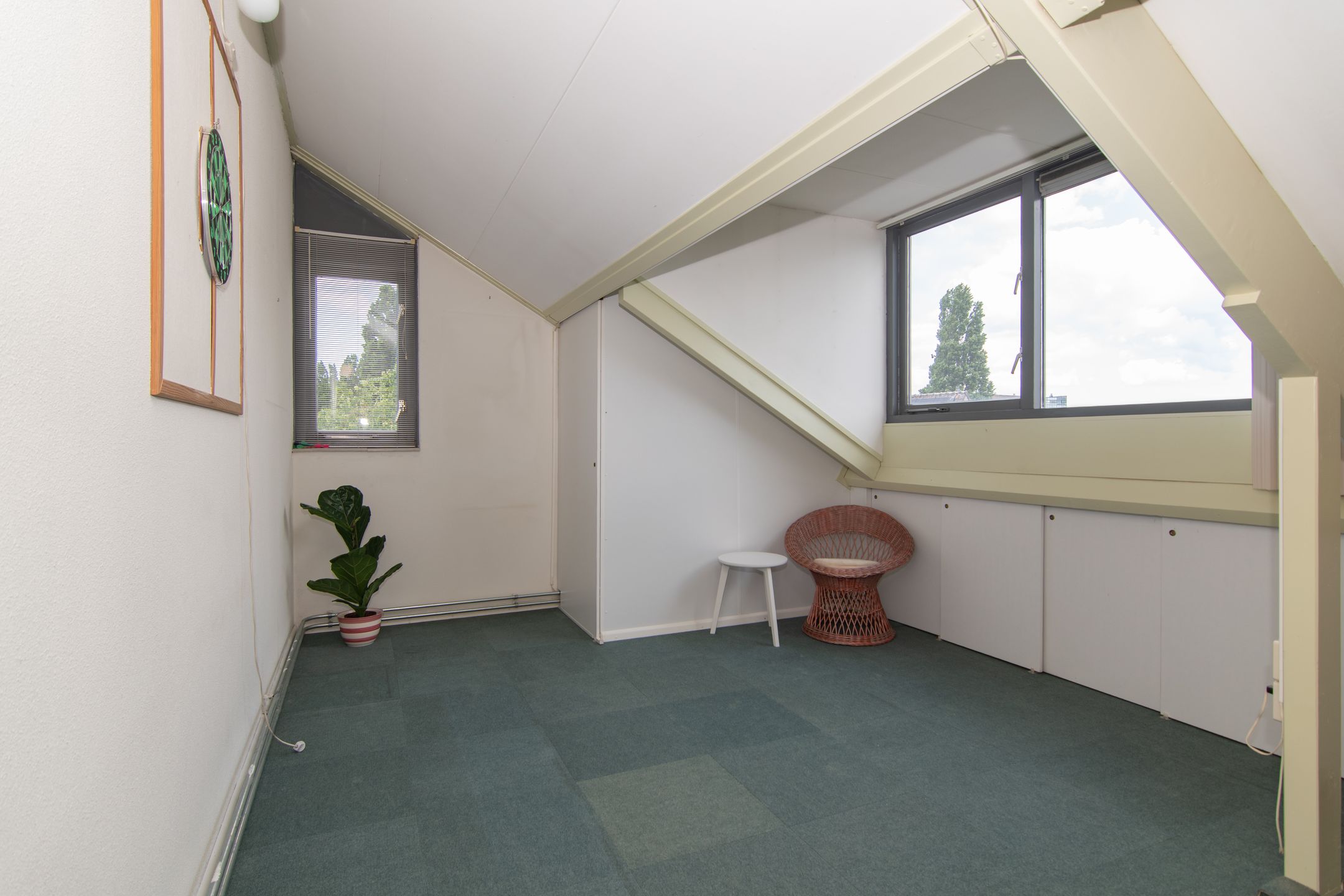 Foto 48 van Goudenregenzoom 164