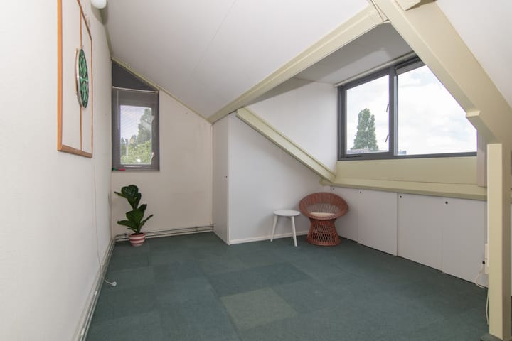 Foto 48 van Goudenregenzoom 164