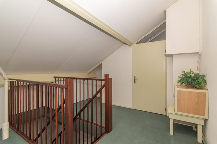 Foto 49 van Goudenregenzoom 164