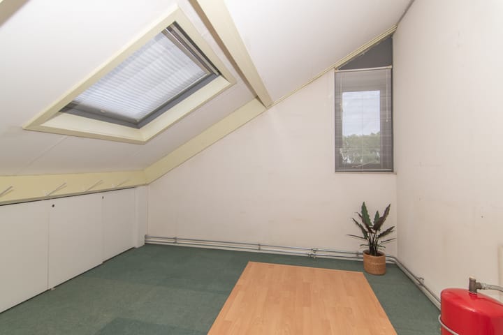 Foto 50 van Goudenregenzoom 164