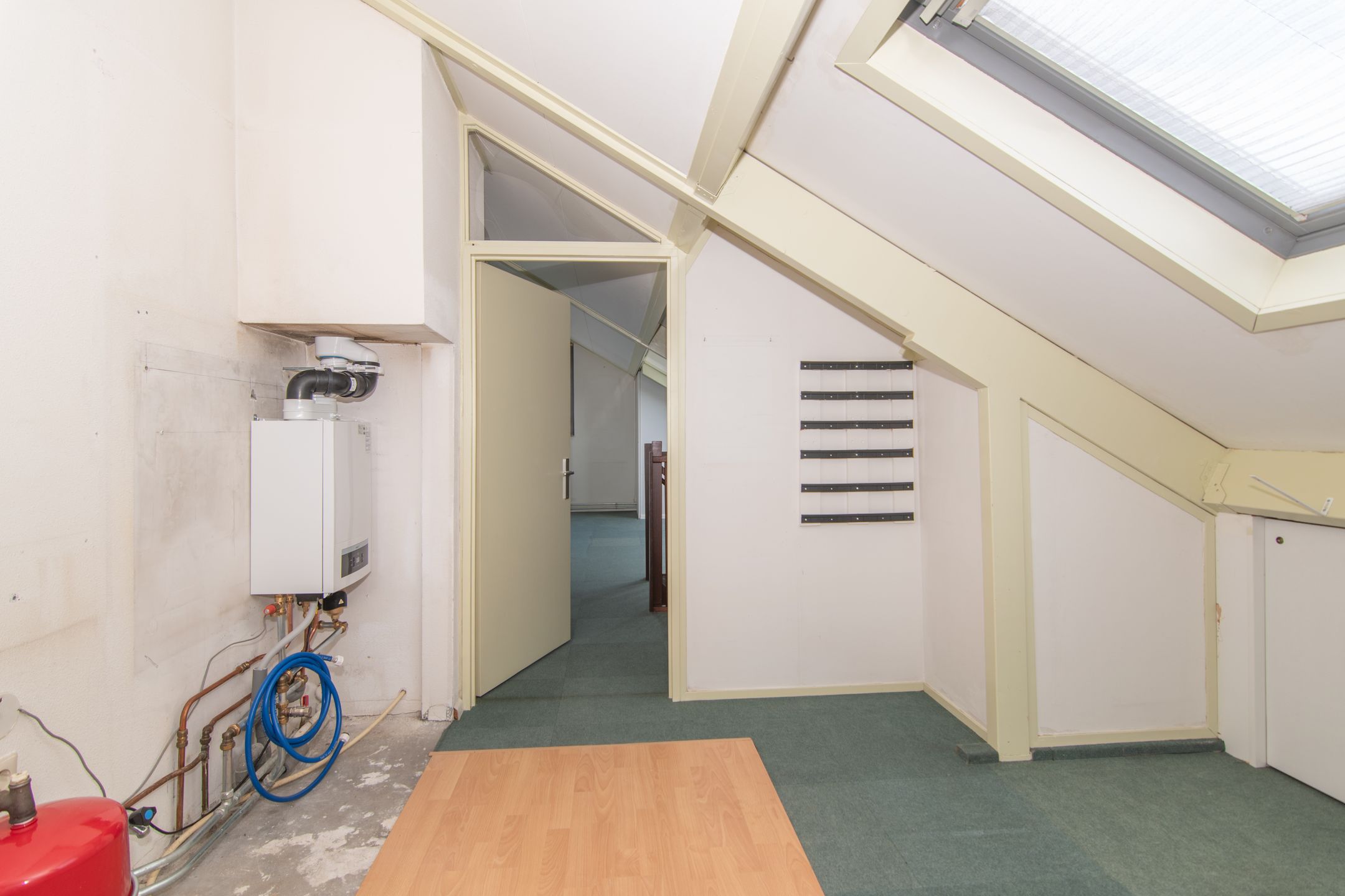 Foto 51 van Goudenregenzoom 164