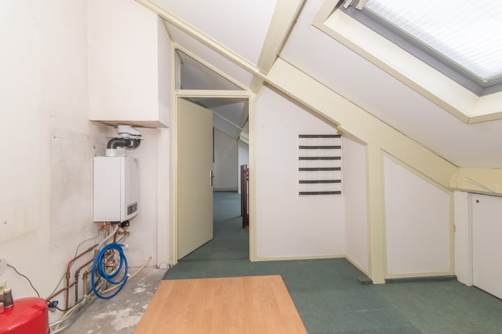 Foto 51 van Goudenregenzoom 164