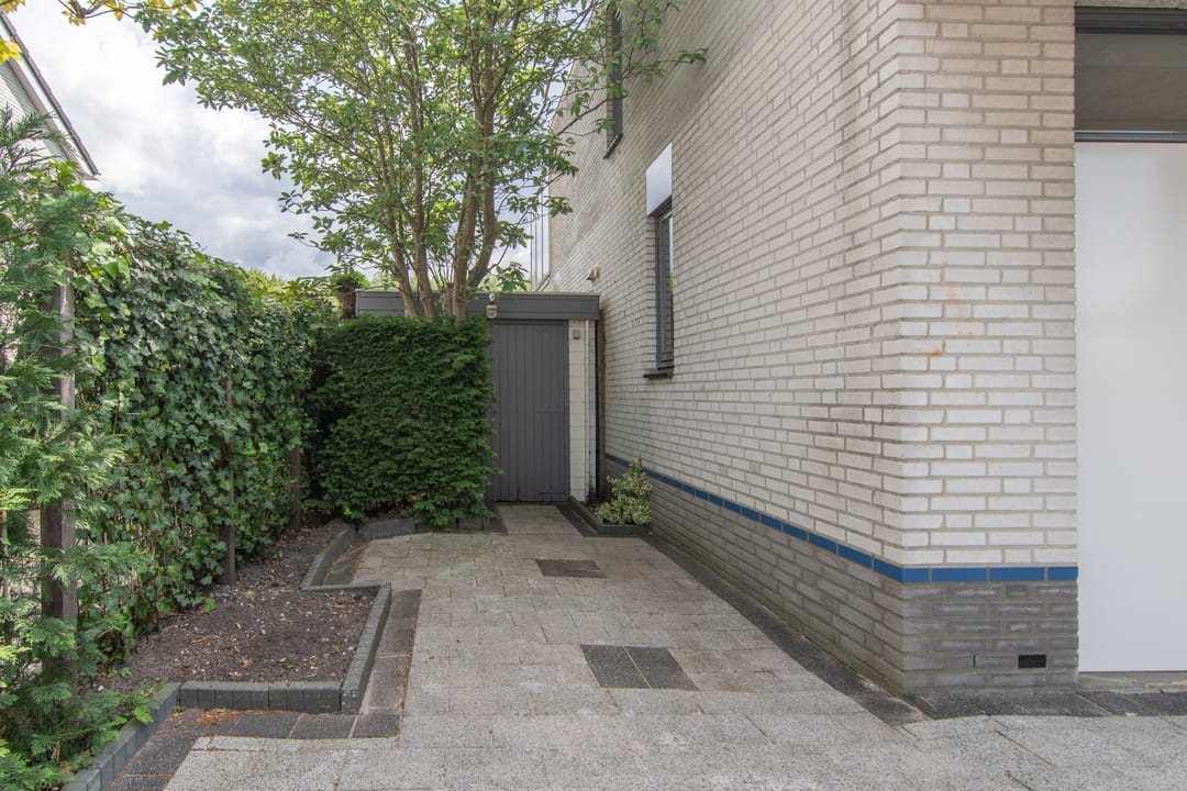 Foto 52 van Goudenregenzoom 164