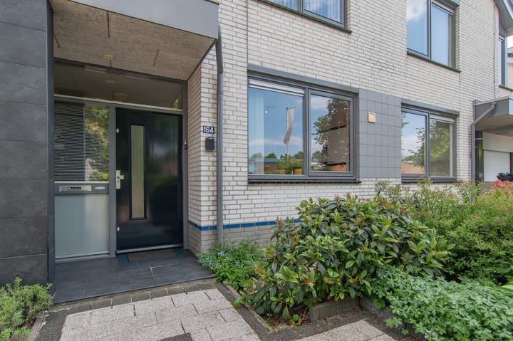 Foto 53 van Goudenregenzoom 164