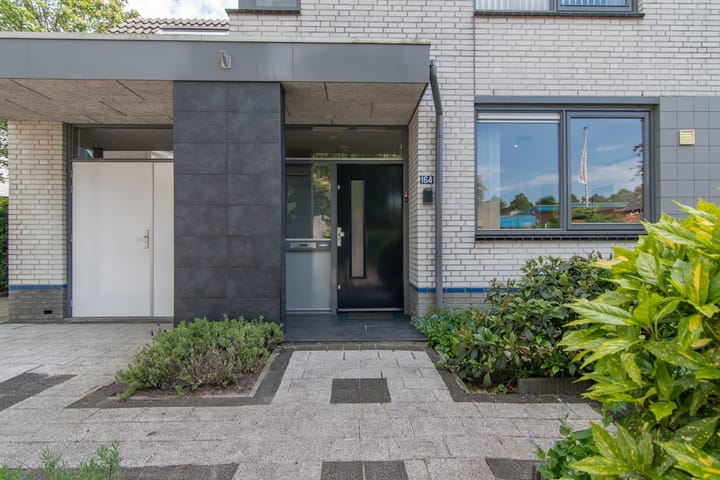 Foto 54 van Goudenregenzoom 164