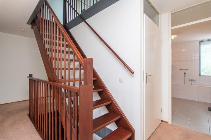 Foto 45 van Goudenregenzoom 164