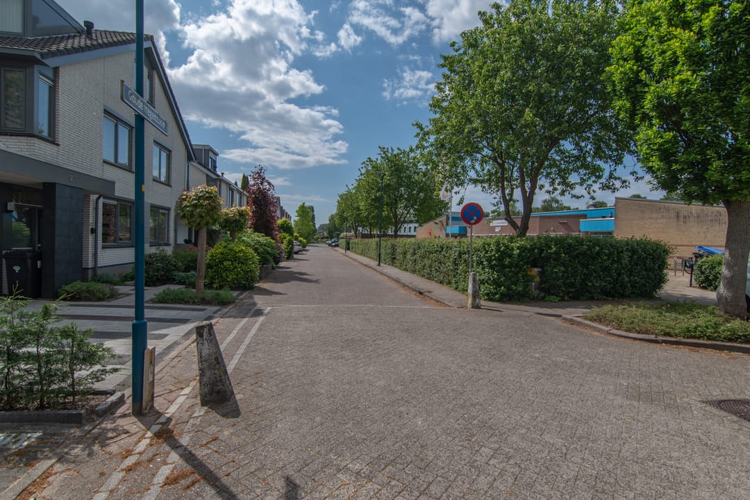 Foto 56 van Goudenregenzoom 164