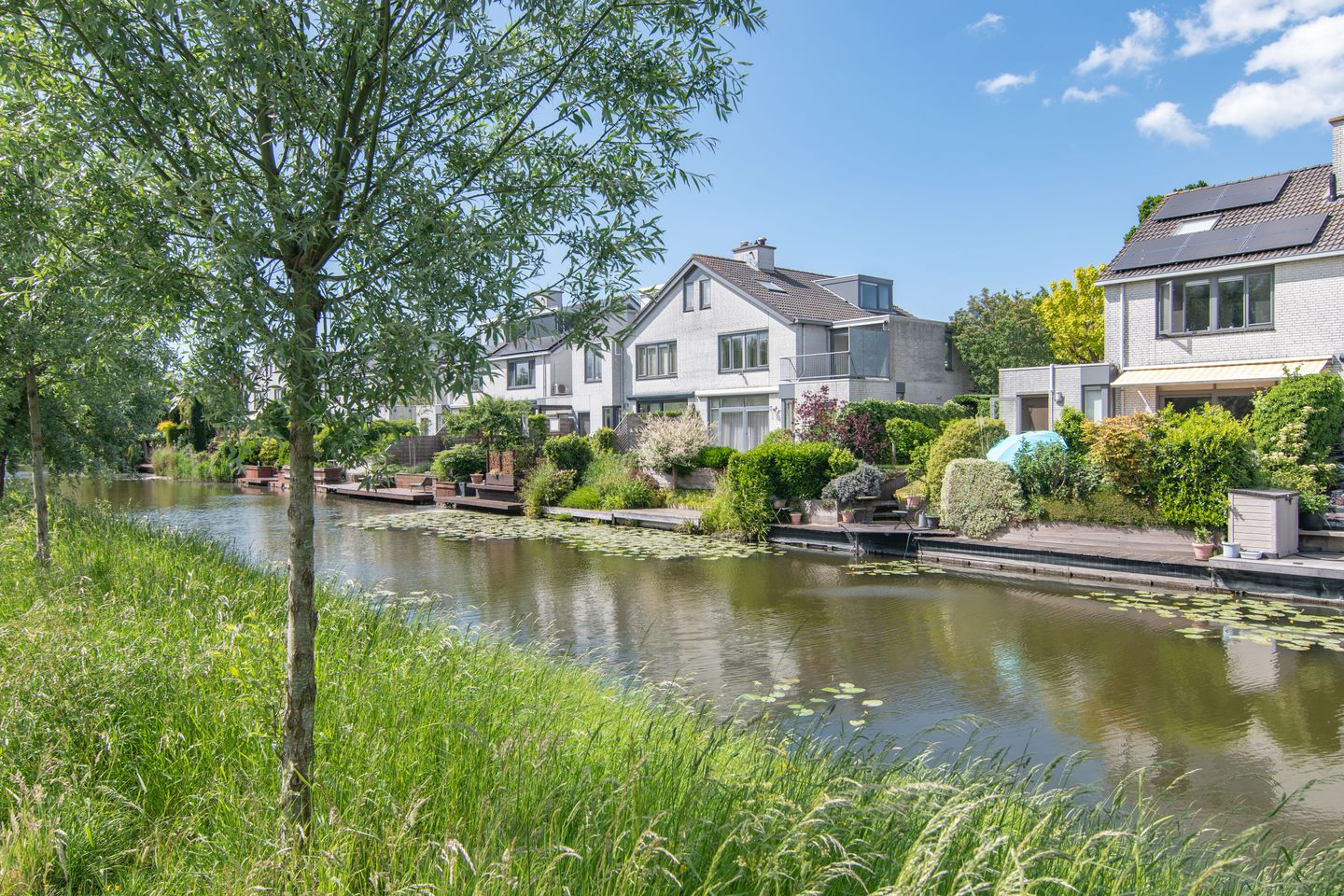 Foto 59 van Goudenregenzoom 164