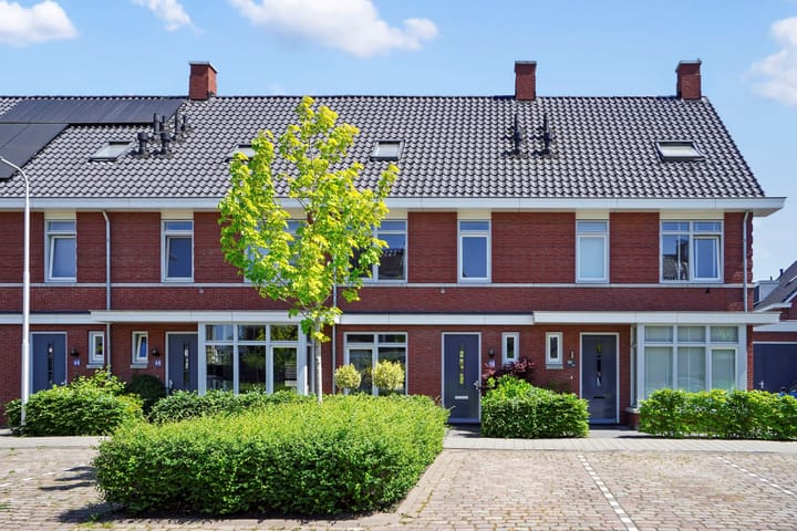 undefined main image