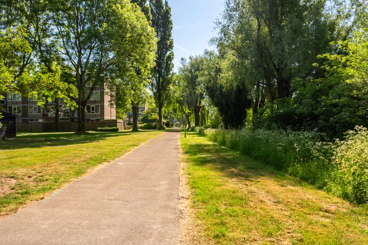 Foto 29 van Generaal S.H. Spoorstraat 203