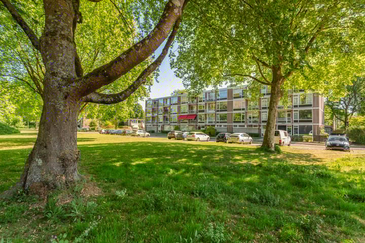 Foto 30 van Generaal S.H. Spoorstraat 203