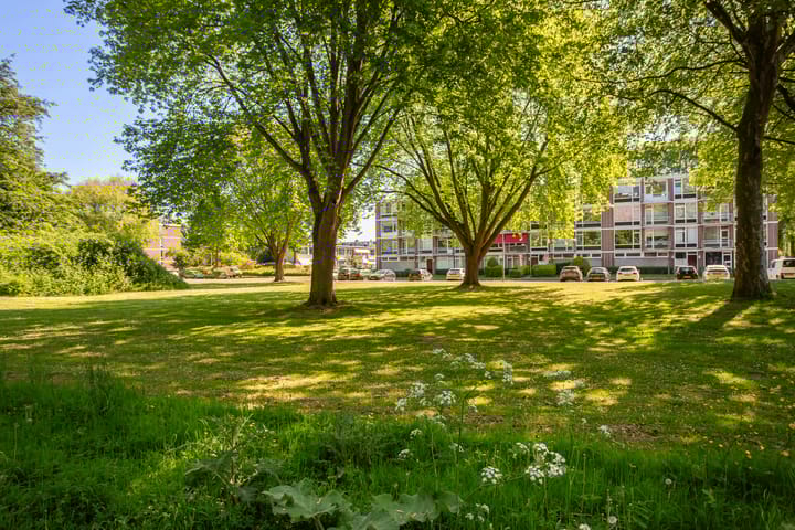 Foto 31 van Generaal S.H. Spoorstraat 203