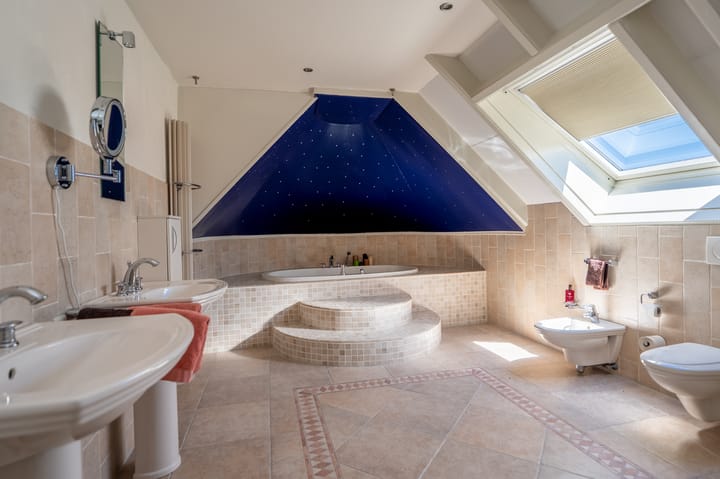 Foto 36 van Nijlgans 11