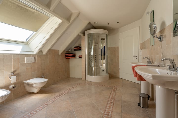 Foto 37 van Nijlgans 11