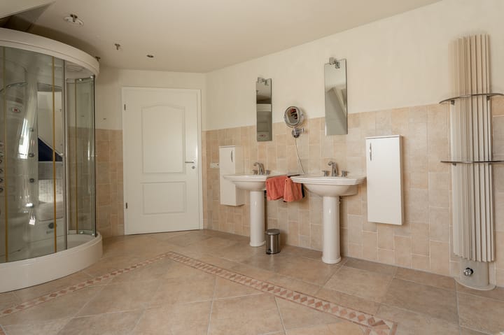 Foto 38 van Nijlgans 11