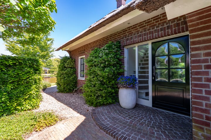 Foto 46 van Nijlgans 11