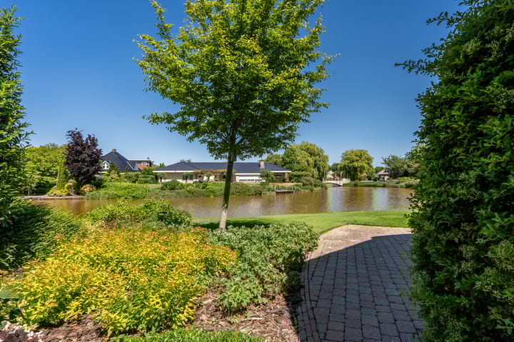 Foto 47 van Nijlgans 11