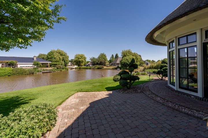 Foto 48 van Nijlgans 11