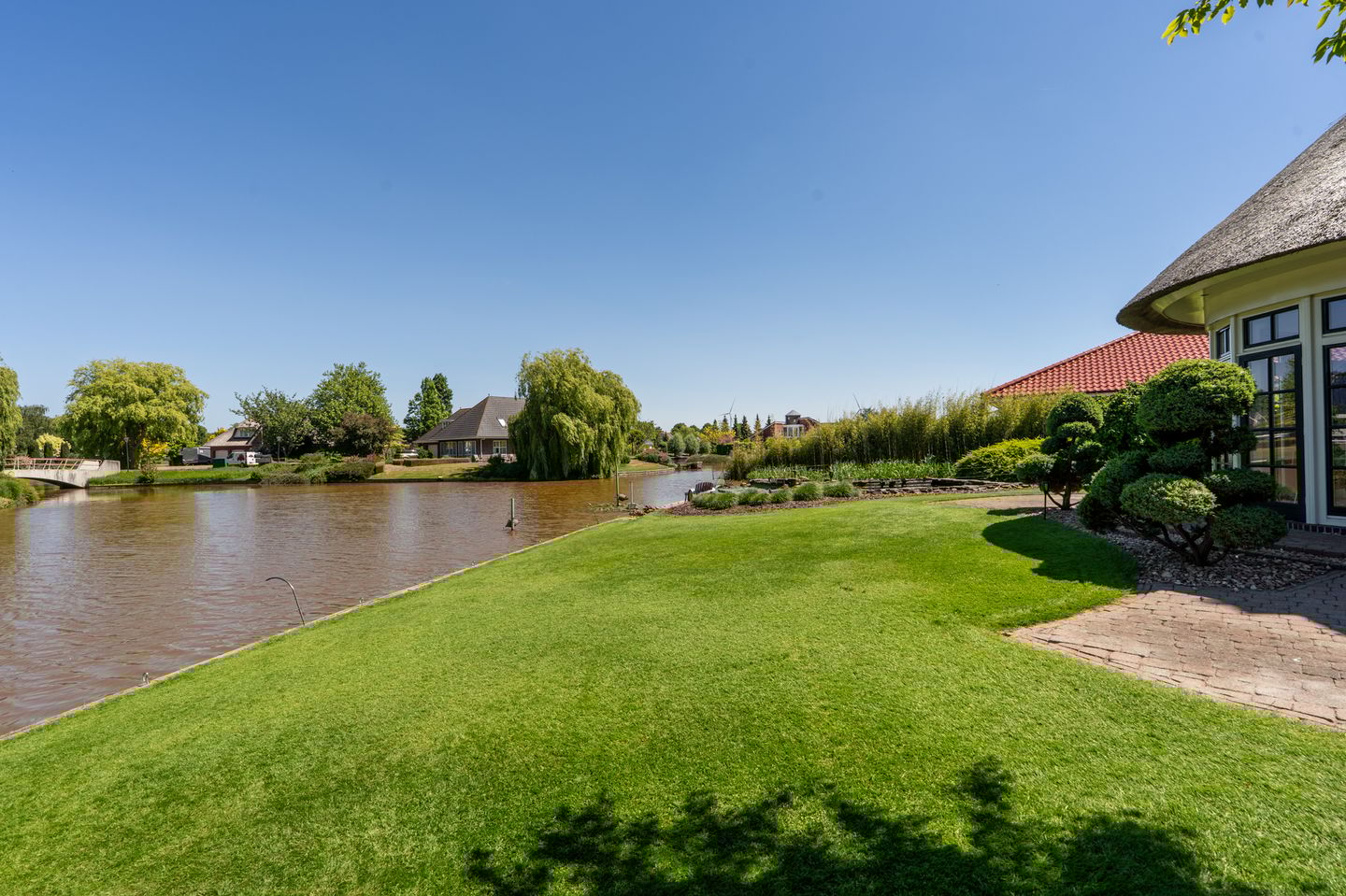 Foto 49 van Nijlgans 11