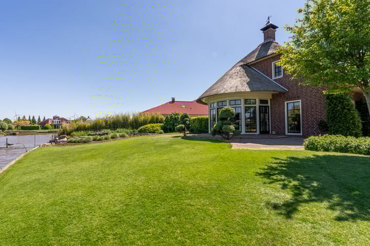 Foto 50 van Nijlgans 11