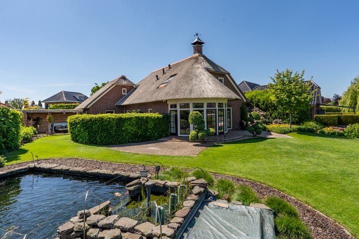 Foto 51 van Nijlgans 11