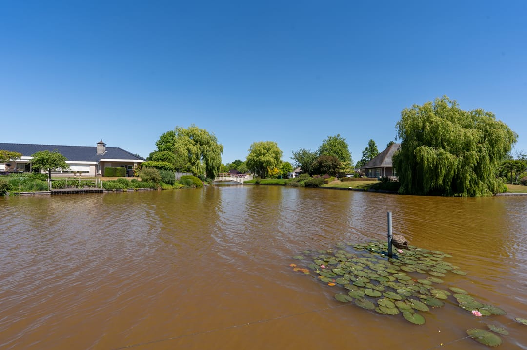 Foto 52 van Nijlgans 11