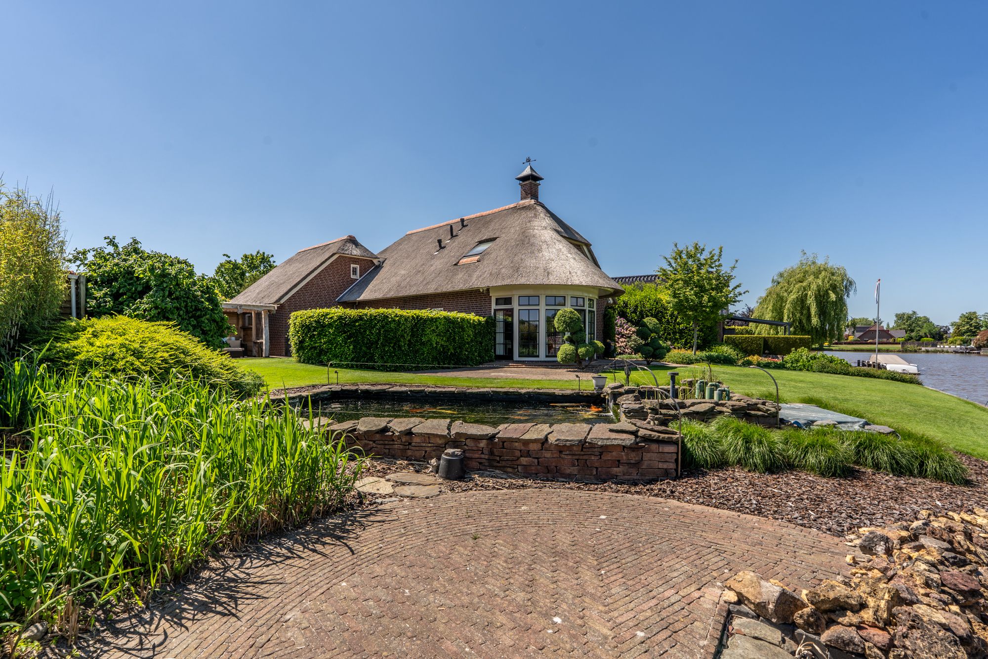 Foto 54 van Nijlgans 11