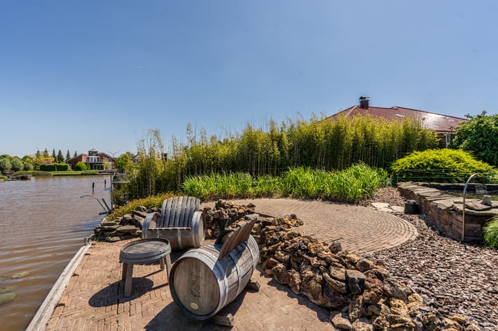 Foto 55 van Nijlgans 11