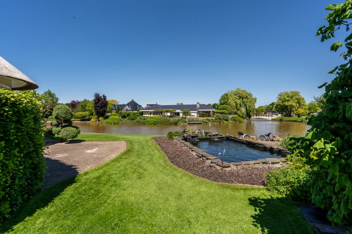 Foto 56 van Nijlgans 11