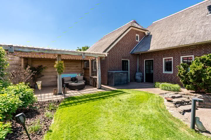 Foto 57 van Nijlgans 11