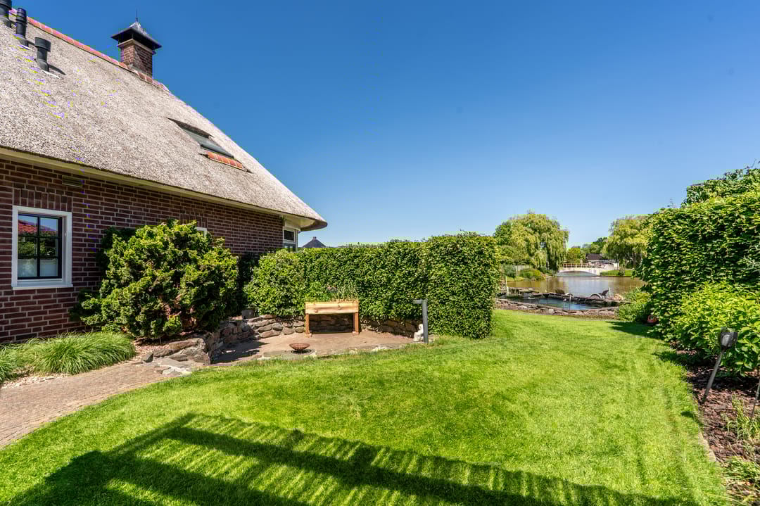 Foto 58 van Nijlgans 11