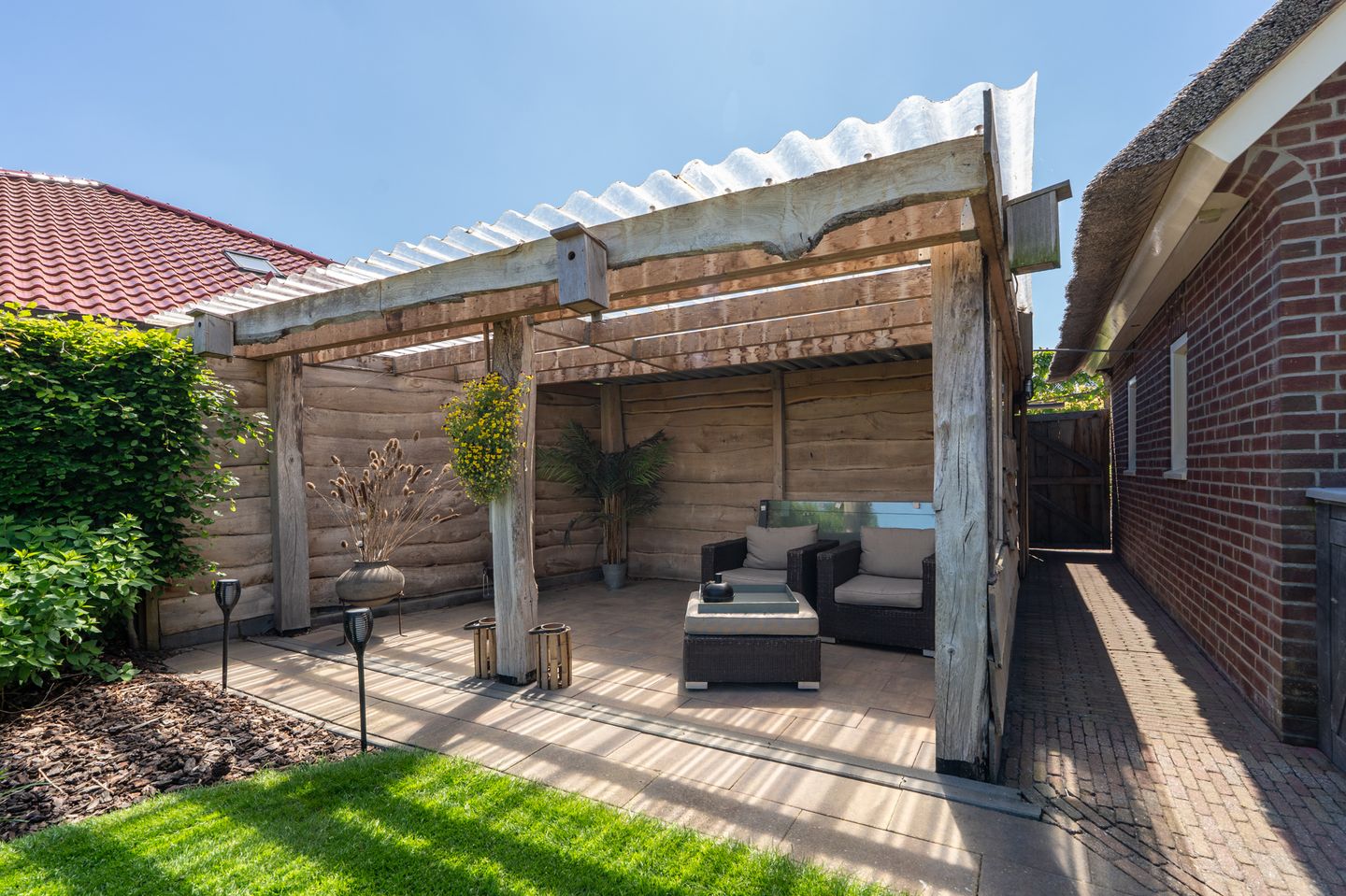 Foto 59 van Nijlgans 11