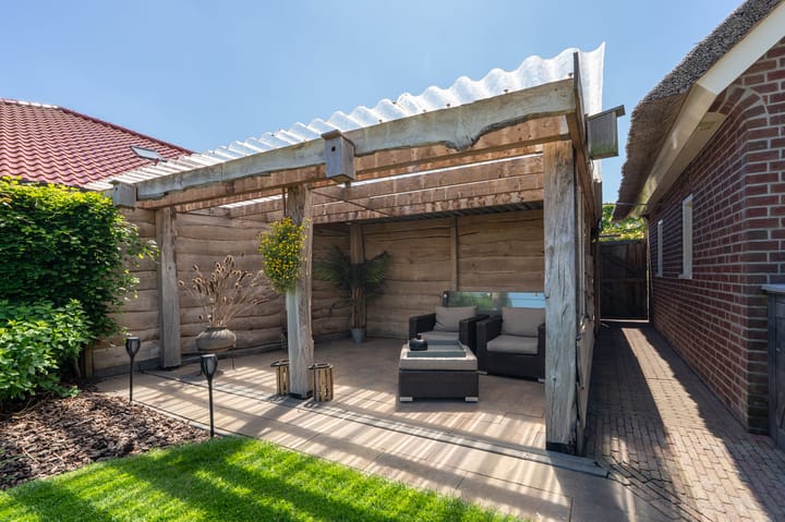 Foto 59 van Nijlgans 11