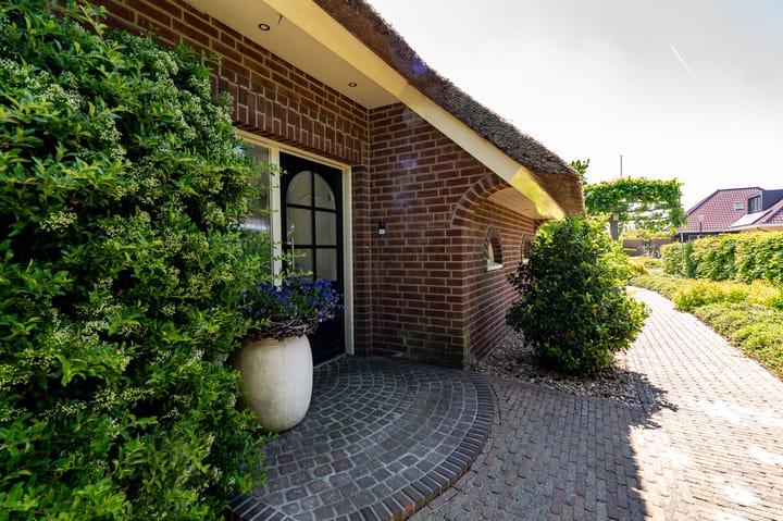 Foto 60 van Nijlgans 11