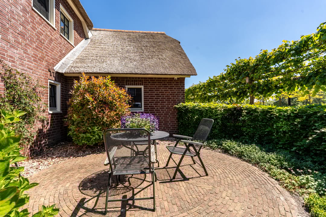 Foto 61 van Nijlgans 11