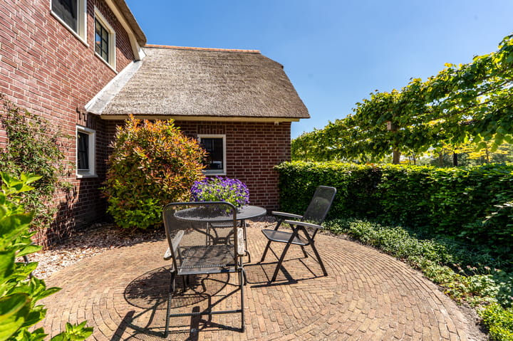 Foto 61 van Nijlgans 11