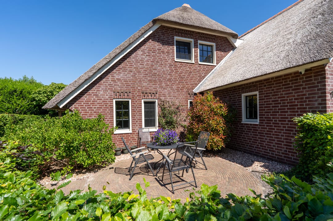 Foto 62 van Nijlgans 11