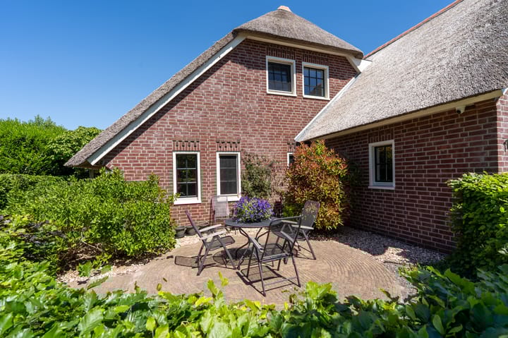 Foto 62 van Nijlgans 11