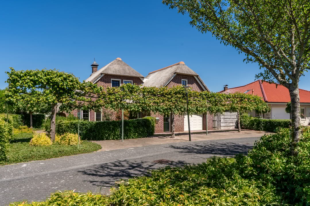 Foto 68 van Nijlgans 11