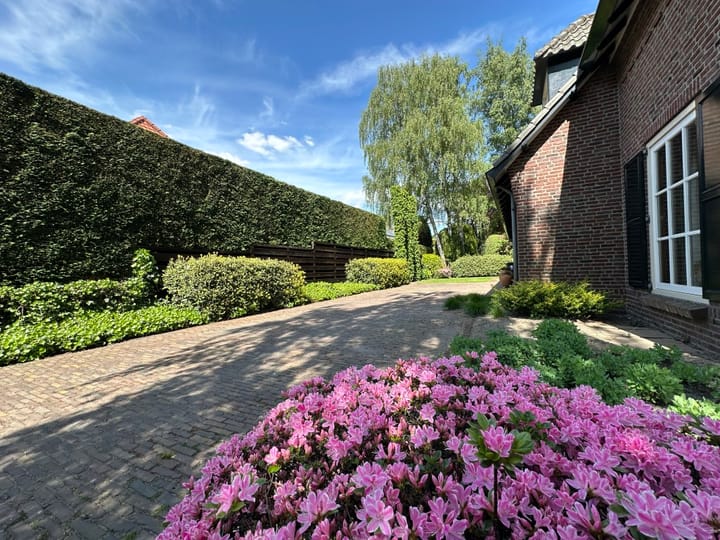 Foto 11 van De Vlasroot 11