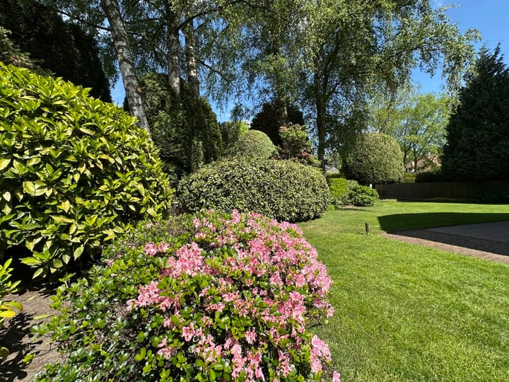 Foto 55 van De Vlasroot 11