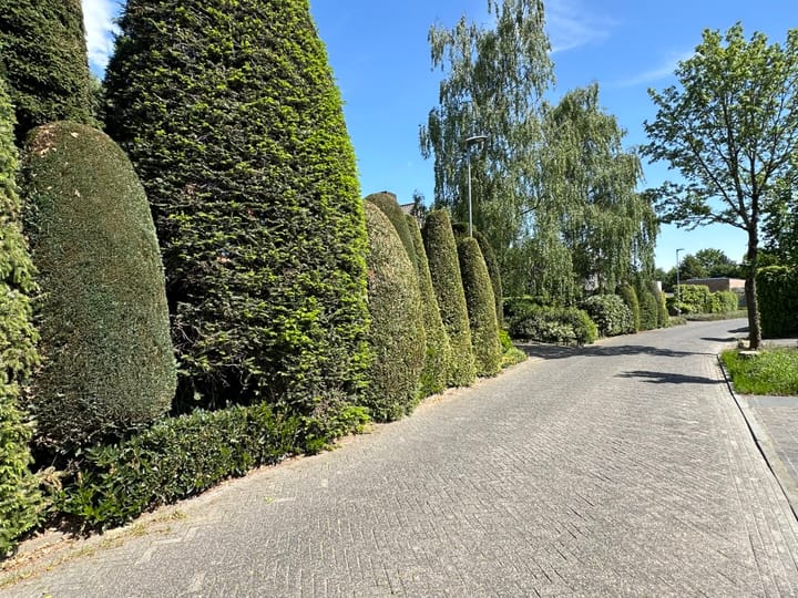 Foto 61 van De Vlasroot 11