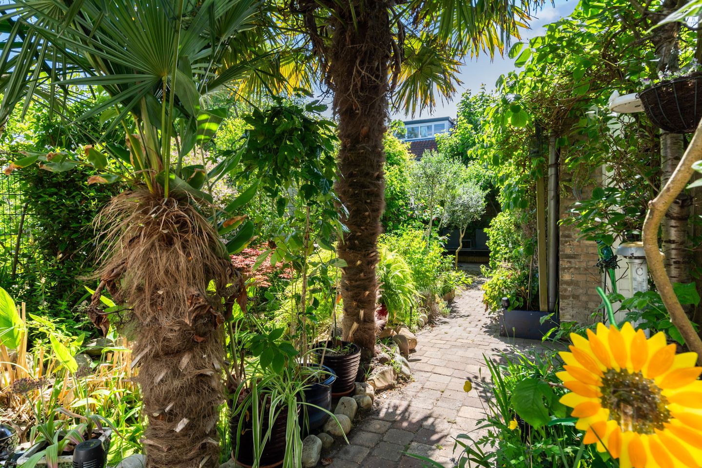 Foto 40 van Carneoolstraat 78