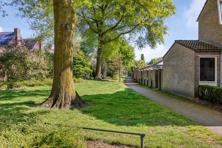 Foto 43 van Burgemeester van Kuikstraat 11