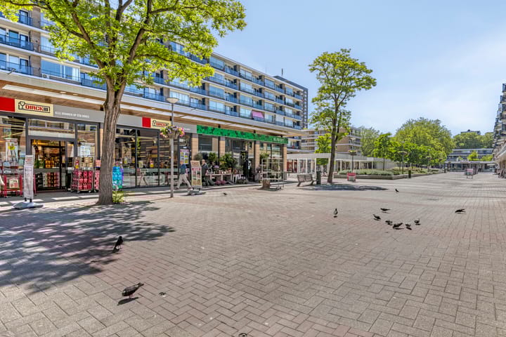 Foto 27 van Jaap van der Hoekplaats 104