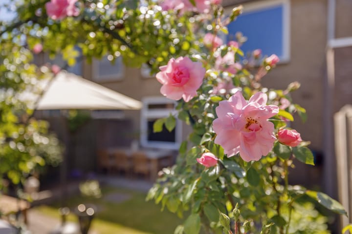 Foto 40 van Charpentierstraat 11