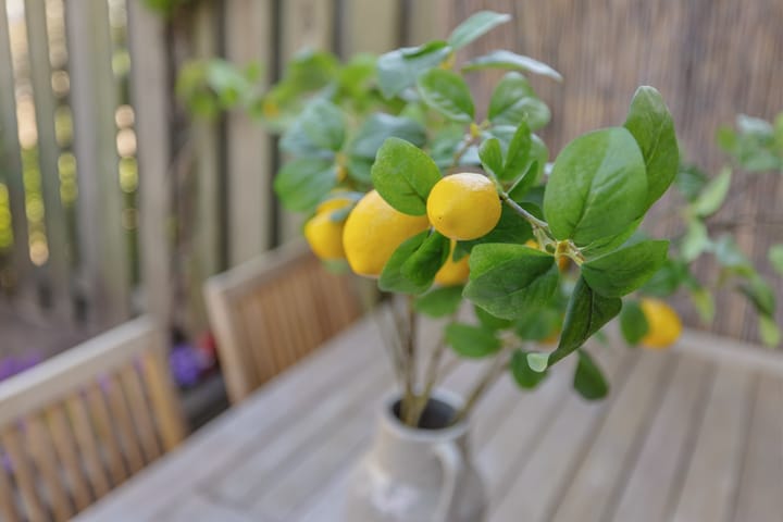 Foto 42 van Charpentierstraat 11