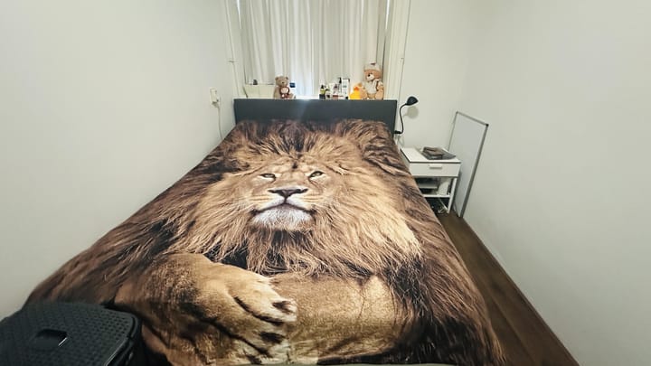 Foto 8 van Van Lodensteynstraat 136