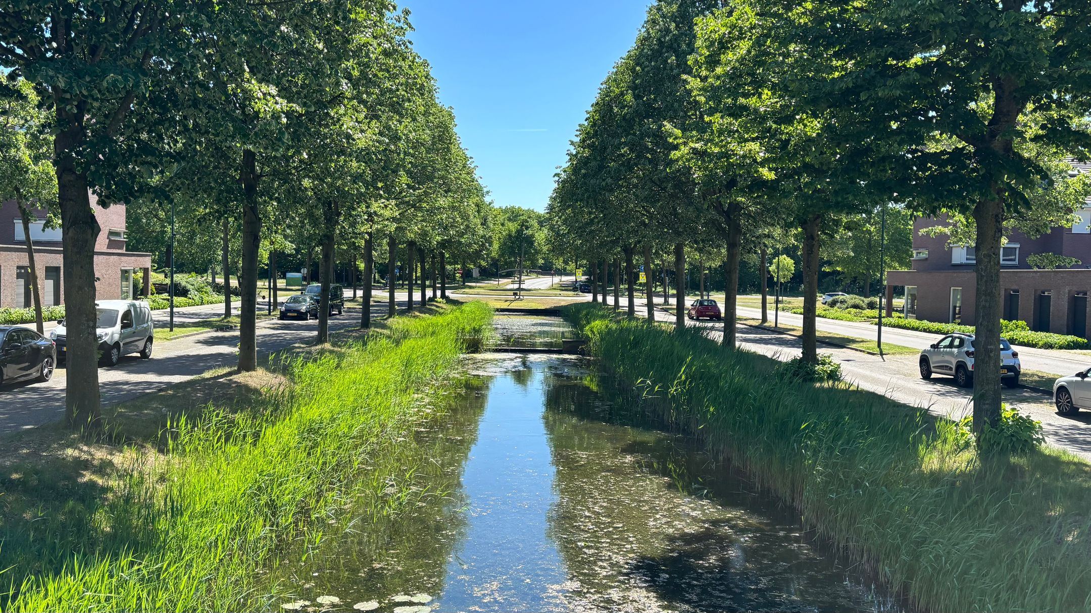 Foto 3 van Walenburgweide 2