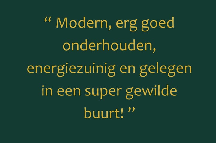 Foto 7 van Wisselwei 11